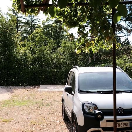 Hotel Manjsa Hisa Savudrija Alberi Zraven Petram Naselja Crveni Vrh Exterior foto